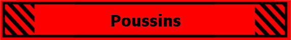Poussins